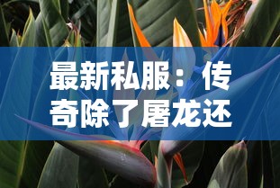 18年恢复贷款的口子，同城五个2025最新最快下款的贷款平台
