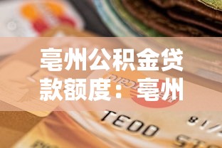 有驾驶证能办什么贷款2025年推荐？整理5个哪些网贷平台上征信