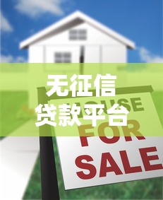 无征信贷款平台：无征信如何快速申请贷款