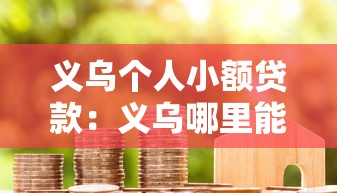 义乌个人小额贷款：义乌哪里能申请小额个人借款