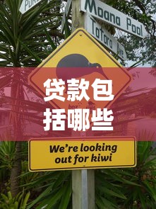 贷款包括哪些：常见的贷款种类有哪些