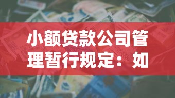 小额贷款公司管理暂行规定：如何规范小额信贷机构监管要求