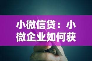 小微信贷：小微企业如何获得低息贷款支持