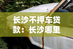 长沙不押车贷款：长沙哪里可以办理免押车贷款