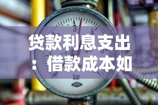 贷款利息支出：借款成本如何计算更合理