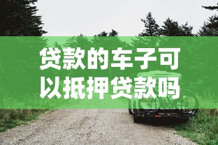 贷款的车子可以抵押贷款吗：贷款购车后能否再次申请抵押贷款