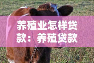 养殖业怎样贷款：养殖贷款有哪些申请条件和方式