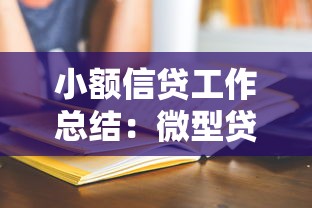 小额信贷工作总结：微型贷款业务年度回顾与展望
