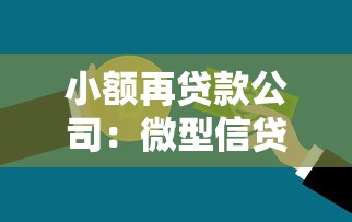 小额再贷款公司：微型信贷机构如何合规运营