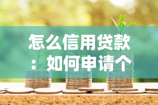 怎么信用贷款：如何申请个人信用贷款