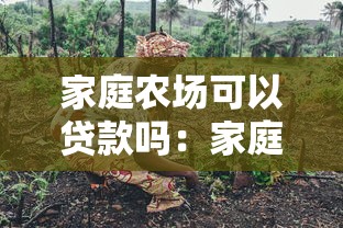 家庭农场可以贷款吗：家庭农场如何申请低息贷款