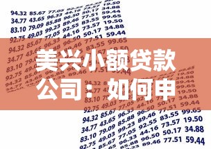 美兴小额贷款公司：如何申请美兴小贷业务