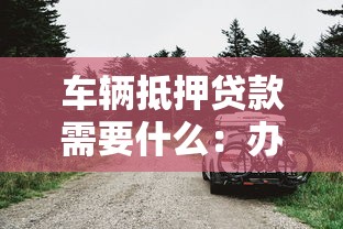 车辆抵押贷款需要什么：办理车抵贷要准备哪些材料
