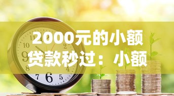 2000元的小额贷款秒过：小额借款如何快速到账2000元