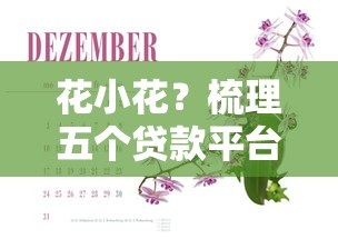 花小花？梳理五个贷款平台都