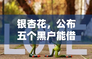 银杏花，公布五个黑户能借的口子