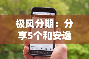极风分期：分享5个和安逸花一样好下款的平台