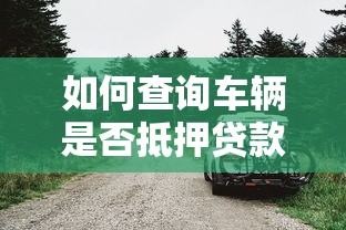 如何查询车辆是否抵押贷款：怎样快速查证车辆抵押贷款状态
