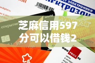 芝麻信用597分可以借钱2025年精选：试试这5个非法贷款平台