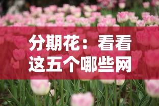 分期花：看看这五个哪些网贷平台是正规的