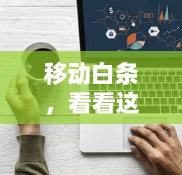 移动白条，看看这5个百度贷款平台叫什么