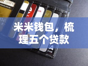 米米钱包，梳理五个贷款快的平台