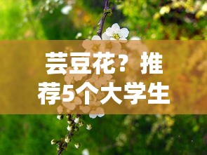 芸豆花？推荐5个大学生贷款平台