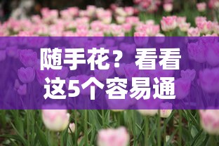 随手花？看看这5个容易通过的贷款平台