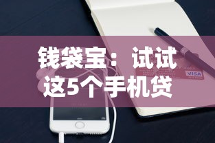 钱袋宝：试试这5个手机贷款平台