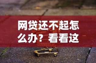网贷还不起怎么办？看看这五个网贷贷款平台