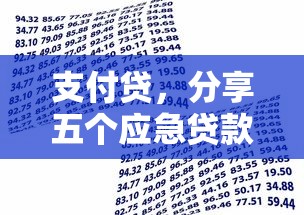 支付贷，分享五个应急贷款平台