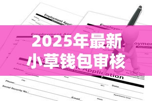 2025年最新小草钱包审核不通过，公布5个无条件放款的平台5w