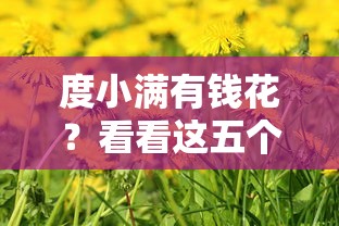 度小满有钱花？看看这五个比较好的贷款平台