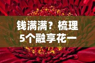 钱满满？梳理5个融享花一样的平台