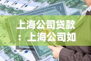 上海公司贷款：上海公司如何申请贷款