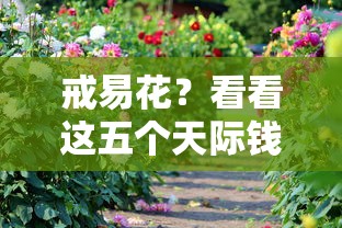 戒易花？看看这五个天际钱袋口子入口