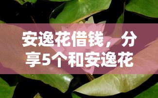 安逸花借钱，分享5个和安逸花一样的平台还