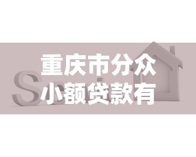 重庆市分众小额贷款有限公司：重庆分众小贷公司服务范围有哪些