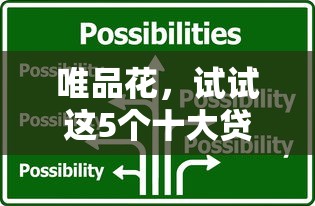 唯品花，试试这5个十大贷款平台