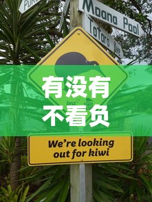有没有不看负债的贷款：哪些贷款不审查个人负债情况