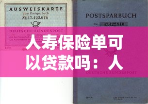 人寿保险单可以贷款吗：人寿保单能否申请抵押贷款
