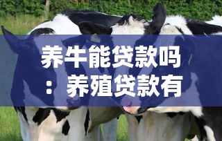 养牛能贷款吗：养殖贷款有哪些申请条件