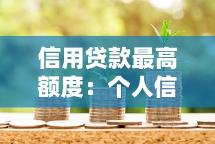 信用贷款最高额度：个人信用贷款最多能借多少