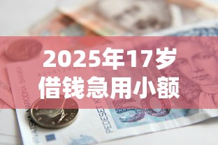 2025年17岁借钱急用小额？公布5个国家正规借款平台