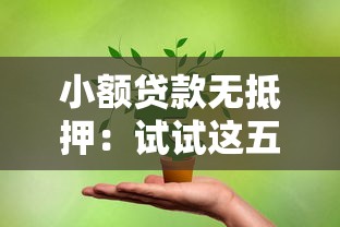 小额贷款无抵押：试试这五个融资平台贷款