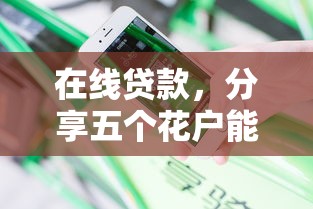 在线贷款，分享五个花户能下款的口子
