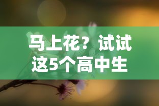 马上花？试试这5个高中生贷款平台