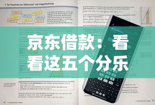 京东借款：看看这五个分乐购一样口子