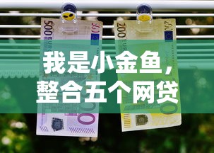 我是小金鱼，整合五个网贷借款平台好