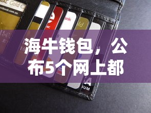 海牛钱包，公布5个网上都贷款平台
